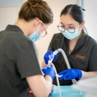 Bespoke Dental Global Service Blurb Emergency Dentistry Turner Canberra